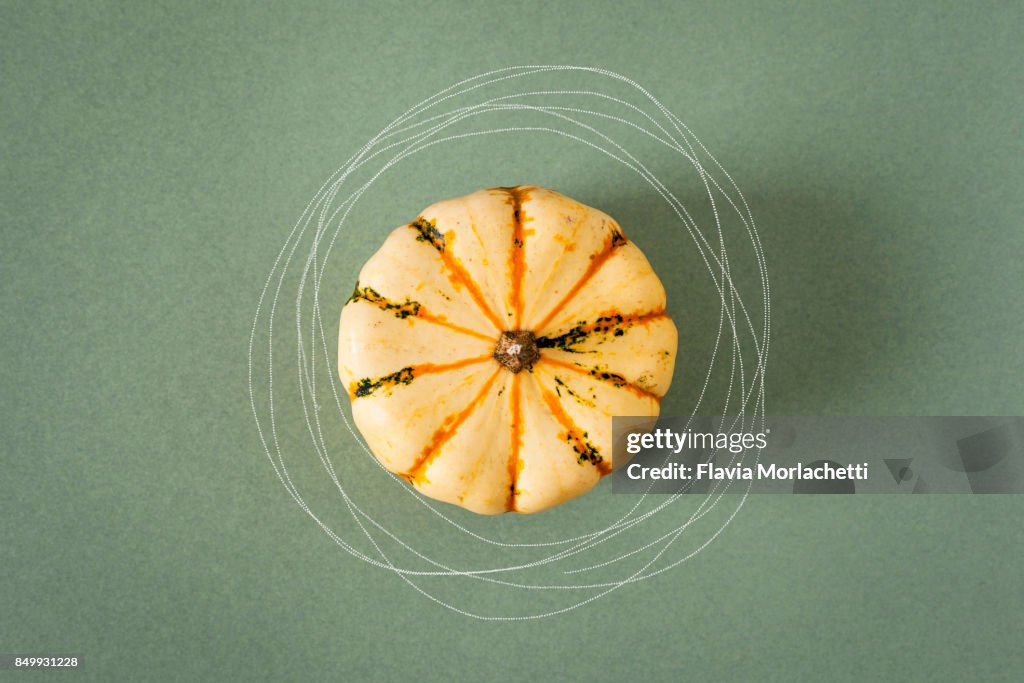 Pumpkin