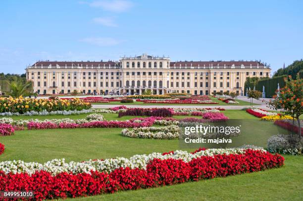 schonbrunn palace, vienna - majaiva stock pictures, royalty-free photos & images