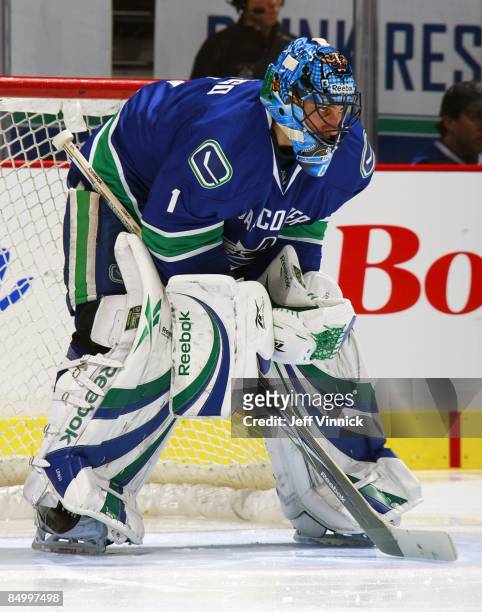 Roberto Luongo of the Vancouver Canucks looks on from his crease during their game against the Carolina Hurricanes at General Motors Place on...