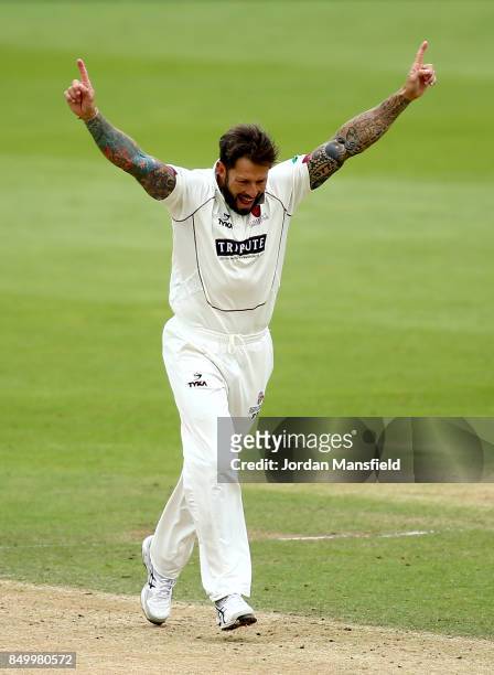 Peter Trego of Somerset celebrates dismissing Mark Stoneman of Surrey during day two of the Specsavers County Championship Division One match between...