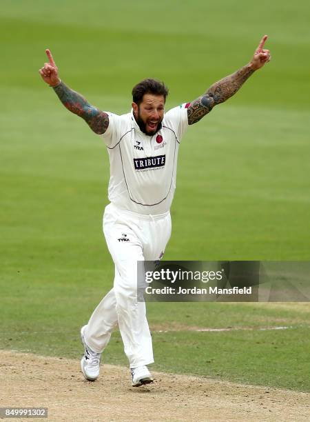 Peter Trego of Somerset celebrates dismissing Rory Burns of Surrey during day two of the Specsavers County Championship Division One match between...