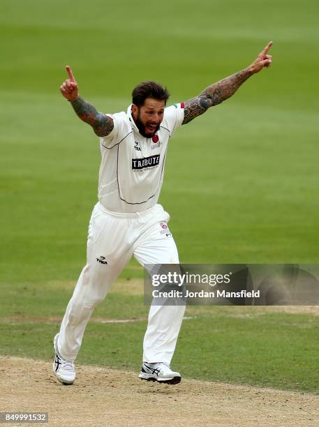 Peter Trego of Somerset celebrates dismissing Rory Burns of Surrey during day two of the Specsavers County Championship Division One match between...