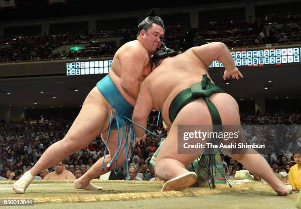 Mongolian komusubi Tamawashi pushes Chiyotairyu out of the ring to win during day eleven of the Grand Sumo Autumn Tournament at Ryogoku Kokugikan on...
