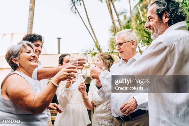 nieuwe year´s dag toast viering - family white stockfoto's en -beelden