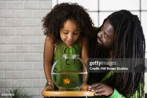 mixed race girl watching goldfish with father - goldfish bowl stock pictures, royalty-free photos & images