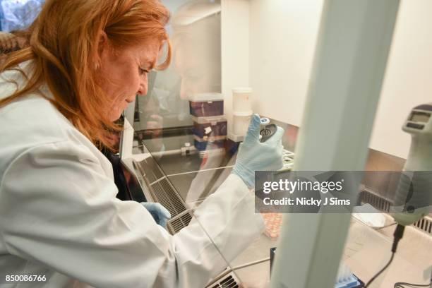 Sarah Ferguson, The Duchess of York is appointed as an official ambassador of The British Heart Foundation and takes a tour of the British Heart...