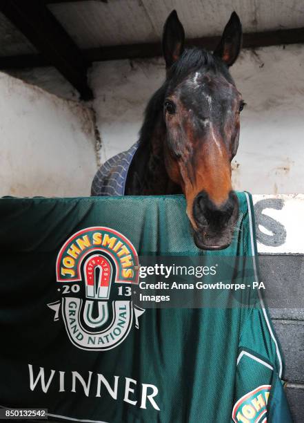 Auroras Encore in his stable during the winners photocall at Craiglands Farm, Bingley.