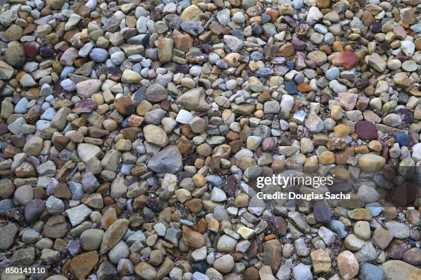 full frame of decorative landscape pebbles and rocks - pebble island - fotografias e filmes do acervo