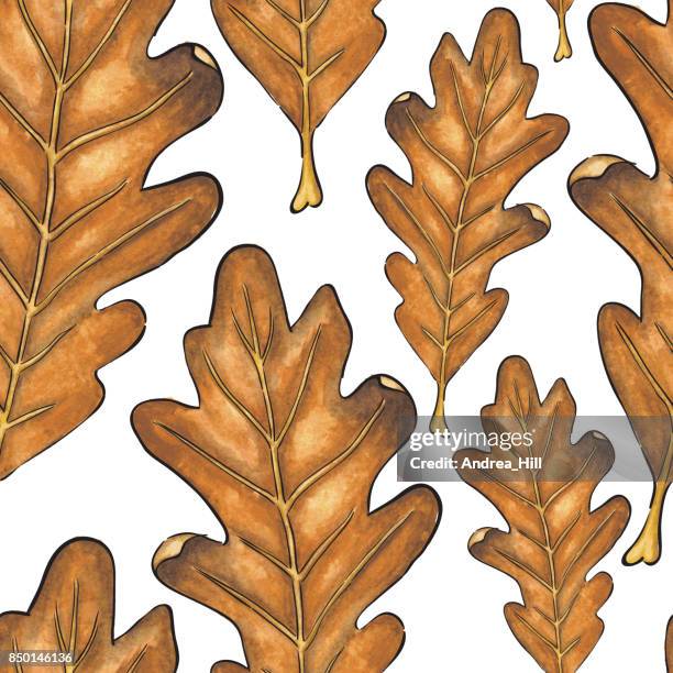 abstract oak leaf watercolor vector seamless pattern - oak leaf white background stock illustrations