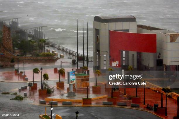 View from the Sheraton Old San Juan, in Puerto Rico, where people are waiting out hurricane Maria on the second floor, some with their pets.