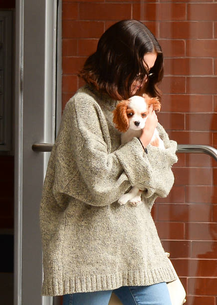 Actress/Singer Selena Gomez is seen with her dog walking in Soho on September 20, 2017 in New York City.