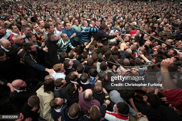 Hands of rival teams Up'ards and Down'ards battle for the ball, which bursts out of the 'hug' under sheer pressure, in the annual Shrove Tuesday 'no...