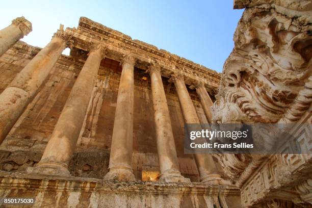 lion sculpture, once part of the temple of bacchus in baalbek, lebanon - baalbek stock pictures, royalty-free photos & images