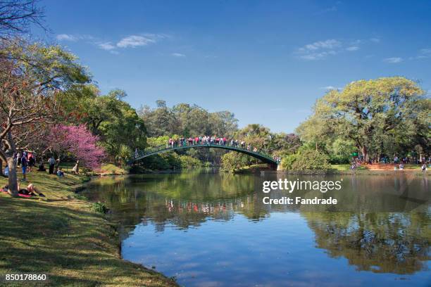 lake of the ibirapuera park, são paulo, brazil. - ibirapuera park stock pictures, royalty-free photos & images