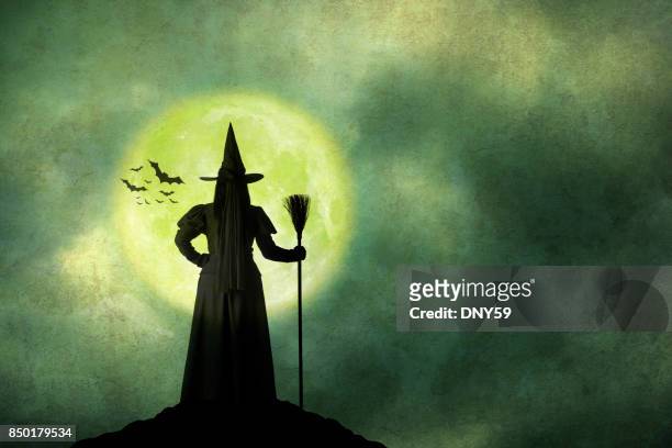halloween heks houdt haar bezem staande voor volle maan - heks stockfoto's en -beelden