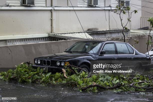 Felled trees cover the roads in the Miramar neighborhood after Hurricane Maria made landfall on September 20, 2017 in San Juan, Puerto Rico....