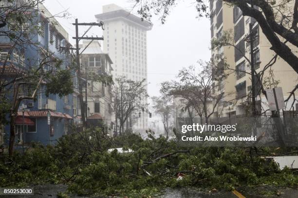 Felled trees cover the roads in the Miramar neighborhood after Hurricane Maria made landfall on September 20, 2017 in San Juan, Puerto Rico....