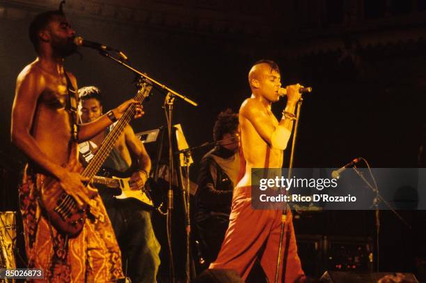 Springbone Band Fishbone Band Photos and Premium High Res Pictures - Getty Images