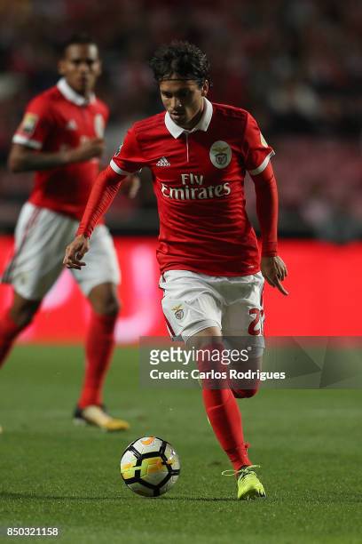 Benfica's midfielder Filip Krovinovic from Croatia during the match between SL Benfica and SC Braga for the Portuguese Taca da Liga at Estadio da Luz...
