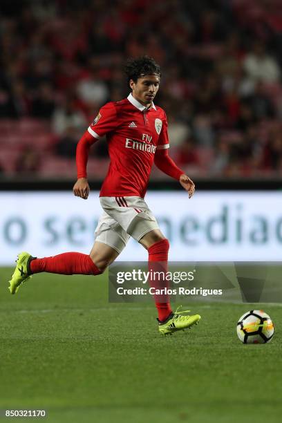 Benfica's midfielder Filip Krovinovic from Croatia during the match between SL Benfica and SC Braga for the Portuguese Taca da Liga at Estadio da Luz...