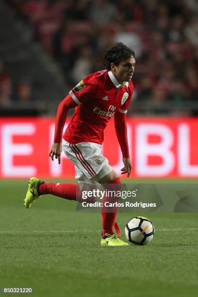 Benfica's midfielder Filip Krovinovic from Croatia during the match between SL Benfica and SC Braga for the Portuguese Taca da Liga at Estadio da Luz...