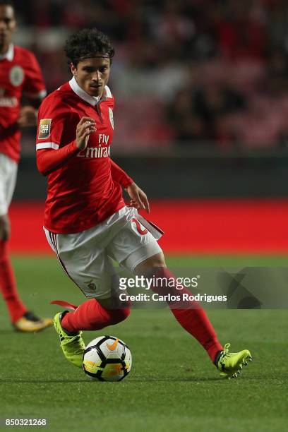Benfica's midfielder Filip Krovinovic from Croatia during the match between SL Benfica and SC Braga for the Portuguese Taca da Liga at Estadio da Luz...