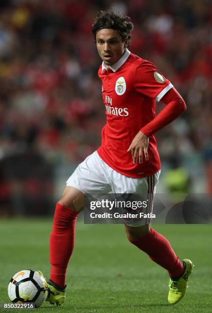 Benfica midfielder Filip Krovinovic from Croatia in action during the Portuguese League Cup match between SL Benfica and SC Braga at Estadio da Luz...