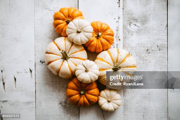 colorful mini pumpkins on wood - gourd stock pictures, royalty-free photos & images