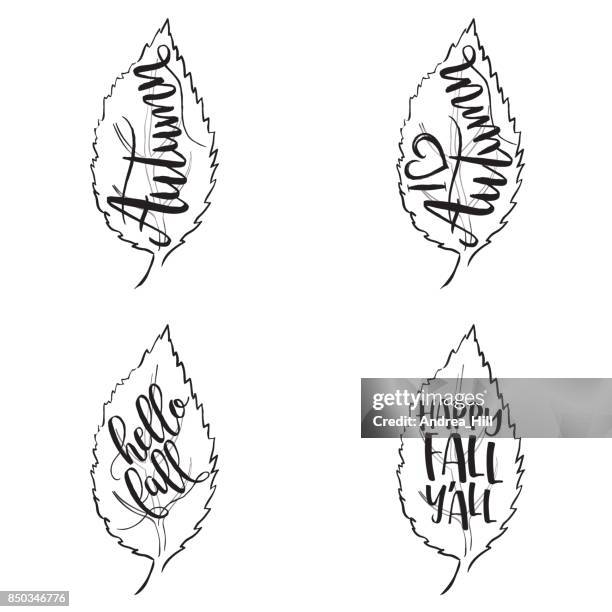 vector walnut leaves with fall greetings - walnuts white background stock illustrations