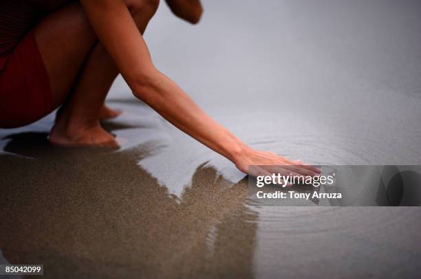woman touching water at the beach - palm beach stock-fotos und bilder