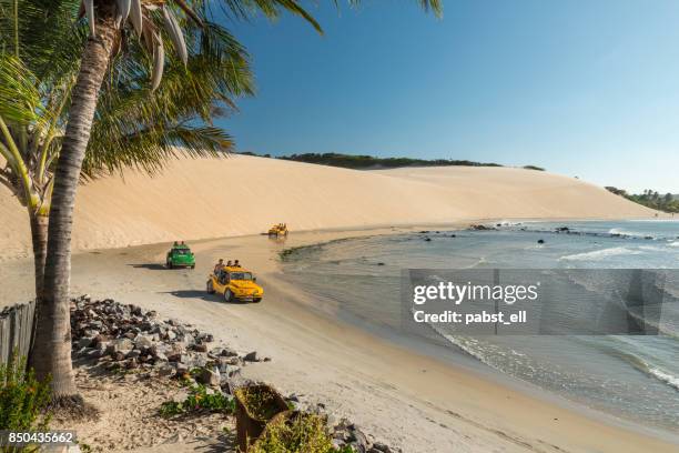 buggy bugre in strand genipabu natal - natal brazil stock-fotos und bilder