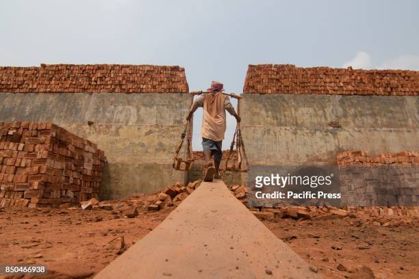 These workers are carrying out back-breaking and exhausting labour in the most risky conditions even under the heat of the sun. They work long hours...