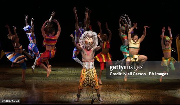 Simba Show 513 Lion King Simba Stock Photos, High-Res Pictures, and Images - Getty ...