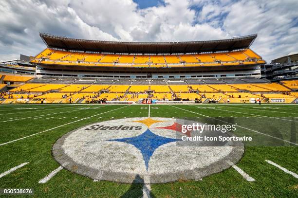 Detailed view of the official Pittsburgh Steelers logo on the field is seen during an NFL football game between the Minnesota Vikings and the...