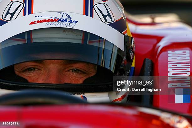 Robert Doornbos, driver of the Newman Haas Lanigan Racing Dallara Honda during the IRL IndyCar Series Spring Testing on February 24, 2009 at the...
