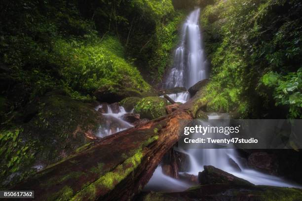 pha ngam ngon waterfall - khao yai national park stock pictures, royalty-free photos & images