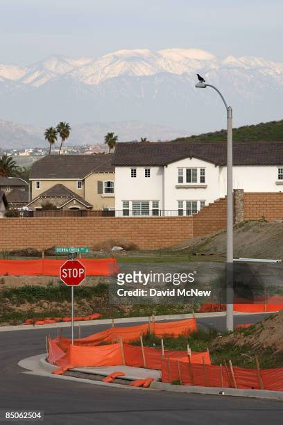 Raven roosts on a streetlight over an idle home construction site where construction has been halted, on February 24, 2009 near Riverside,...