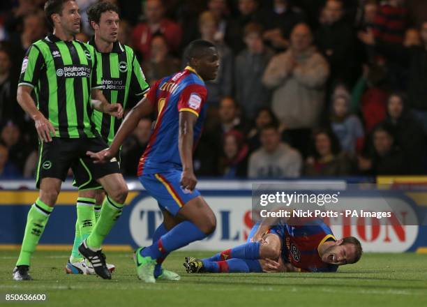 Crystal Palace's Glenn Murray lies injured on the pitch