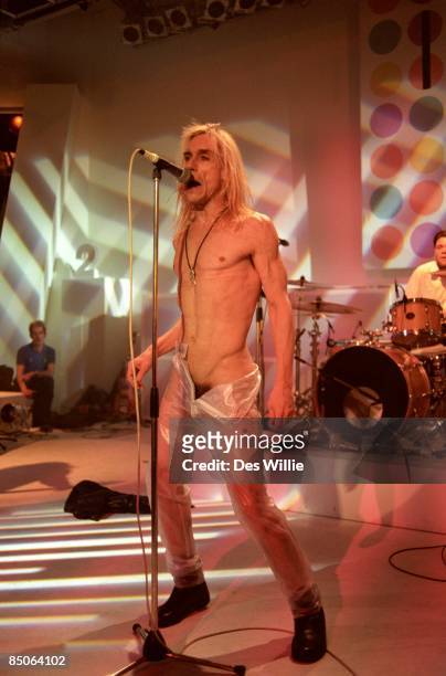 Profeti At opdage Raffinaderi 83 Iggy Pop 1996 Stock Photos, High Res Pictures, and Images - Getty Images