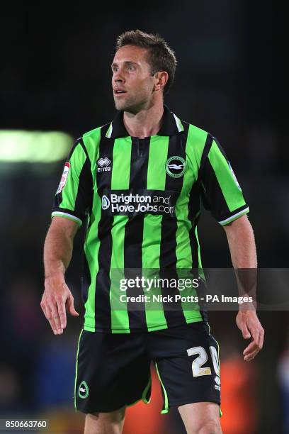 Matthew Upson, Brighton & Hove Albion