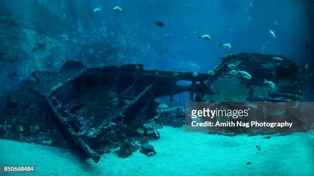 the underwater shipwreck - seascape stockfoto's en -beelden