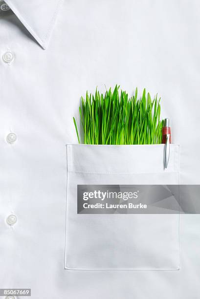 white collar shirt with grass in pocket - shirt pocket stock pictures, royalty-free photos & images