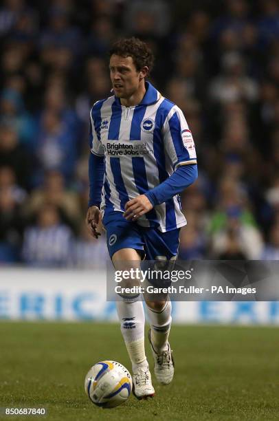 Wayne Bridge, Brighton & Hove Albion