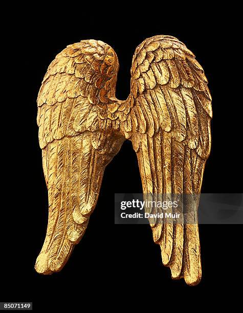 back view of gold wings statue  - angels stock pictures, royalty-free photos & images