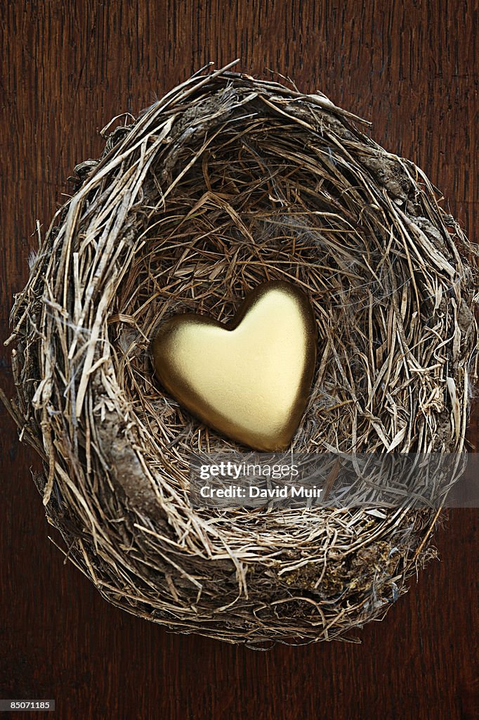 Gold heart in bird nest