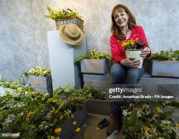 Garden designer Jo Thompson sits in a specially created window display at Peter Jones department store in Sloane Square, London, to mark one hundred...