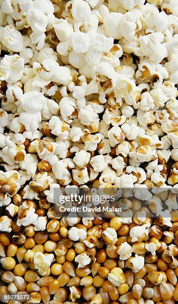 progression from corn kernel to popcorn - popcorn full frame stock pictures, royalty-free photos & images