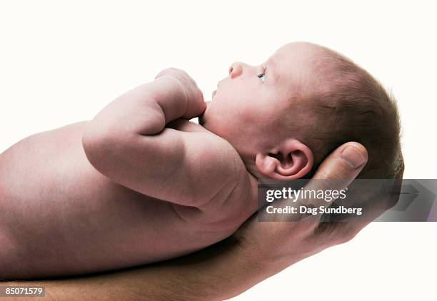 baby girl, one week old - dag 2 stock pictures, royalty-free photos & images