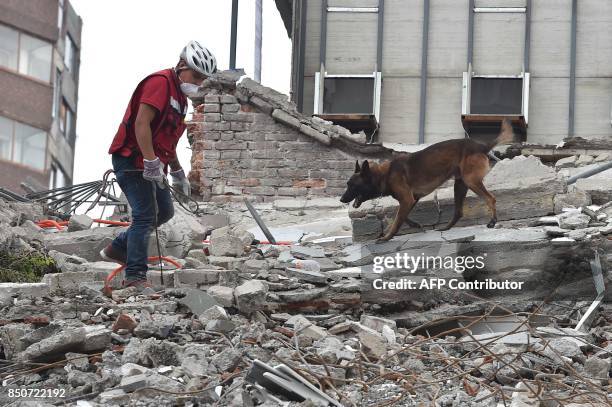 Rescuer with a sniffer dog searches for survivors in a flattened building in Mexico City on September 21, 2017 two days after a strong quake hit...