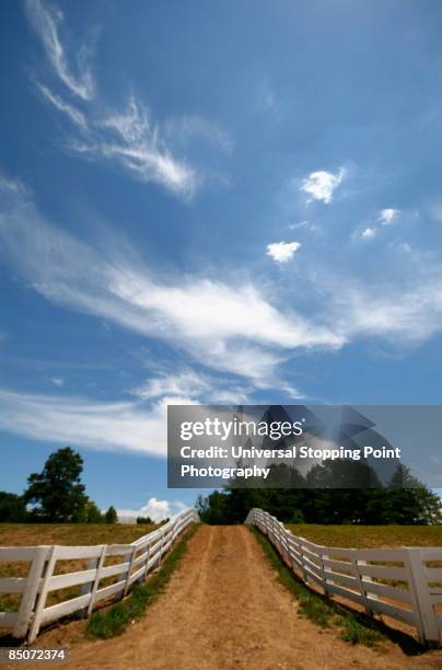 horse god shines down - lexington kentucky stock pictures, royalty-free photos & images